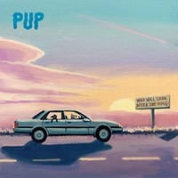 Who Will Look After The Dogs — PUP